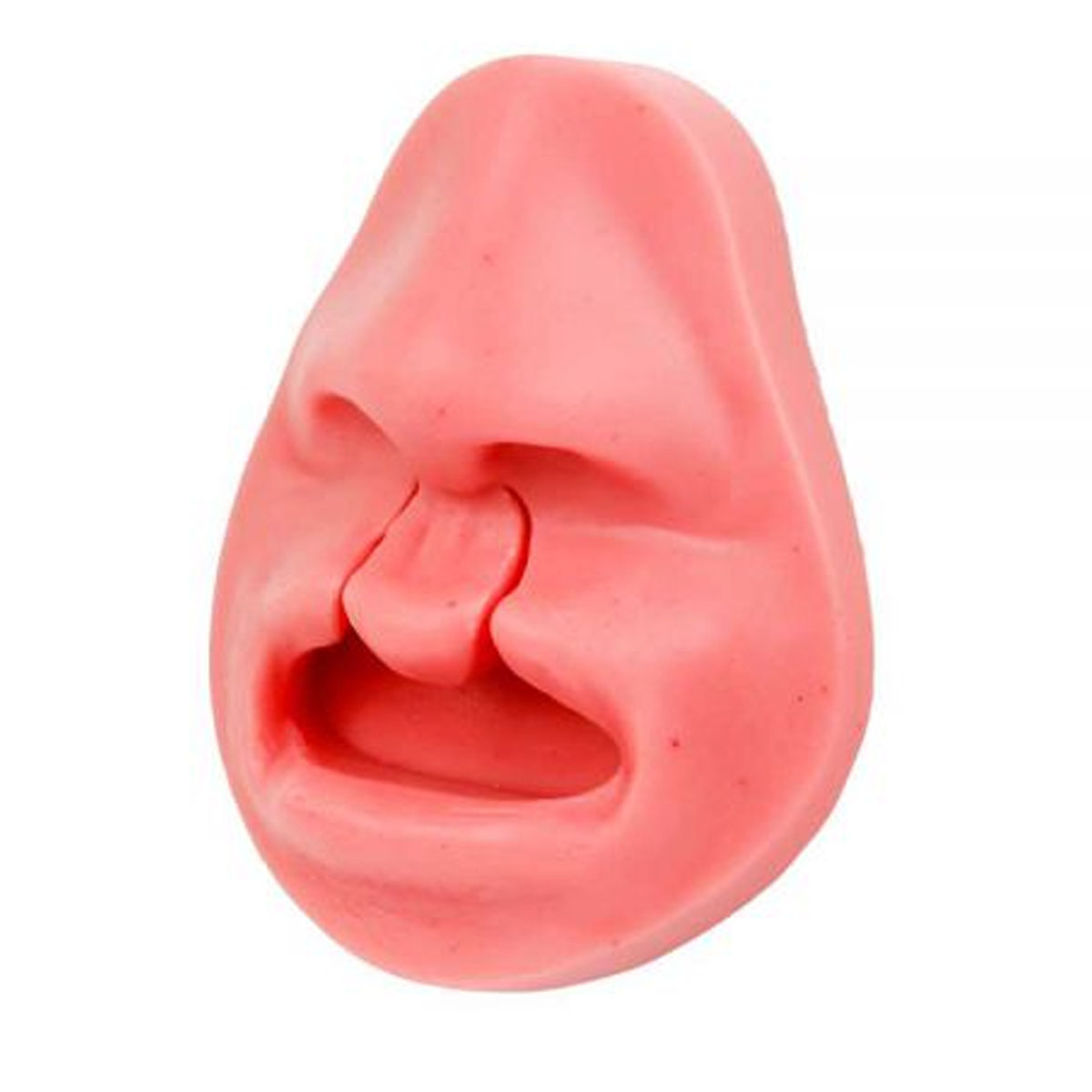 Simulador De Sutura Labio Leporino 115X85MM SG15 Ortho Pauher